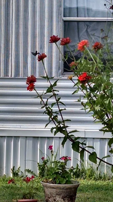 Green Acres Mobile Home Park 10
