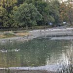Harry L Swartz Campground