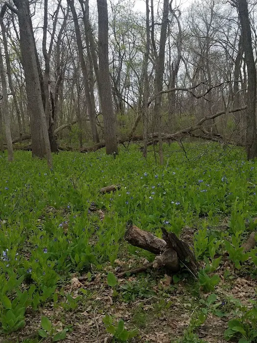 Starved Rock State Park Campground 9