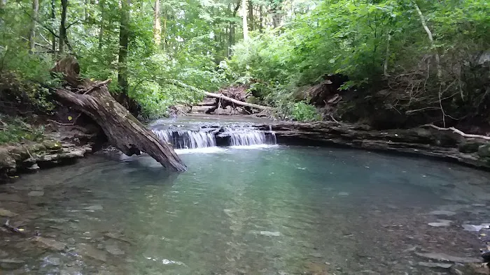 Youth Group Campground 4