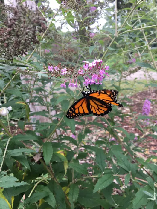 Nature's Way RV Park 1