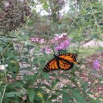 Nature's Way RV Park