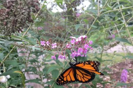 Nature's Way RV Park