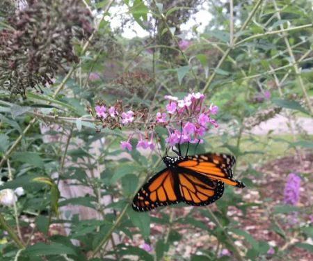 Nature's Way RV Park