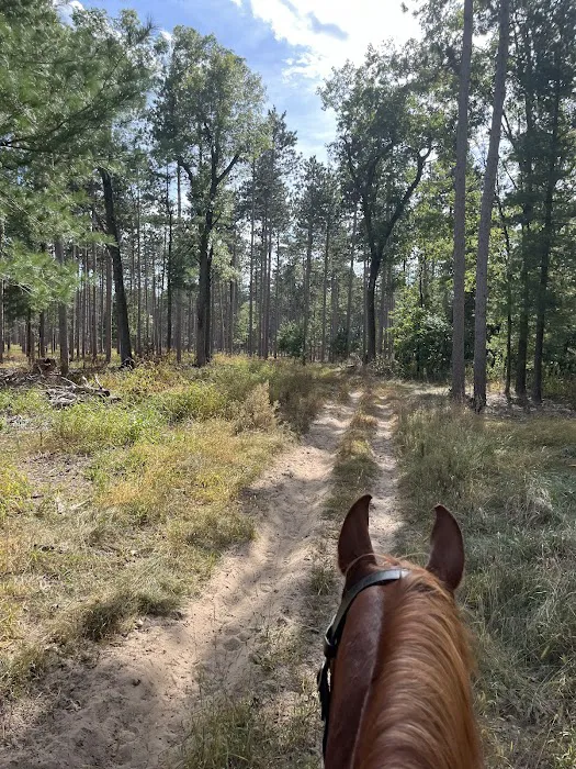 Horseriders' Campground 2