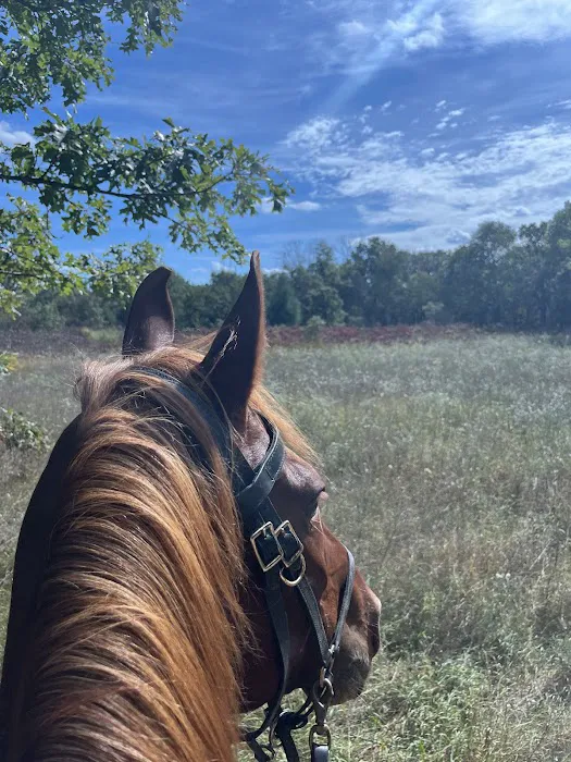 Horseriders' Campground 1