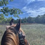 Horseriders' Campground