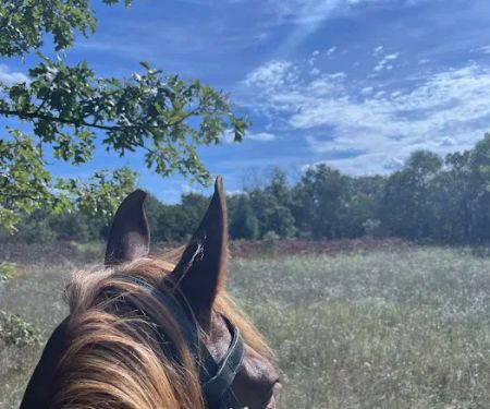 Horseriders' Campground