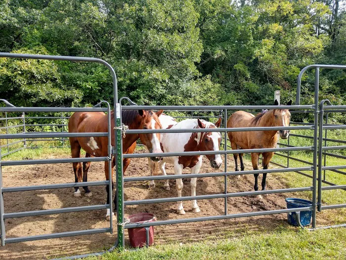 Horseriders' Campground 6