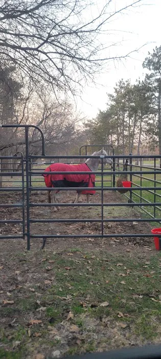 Horseriders' Campground 5