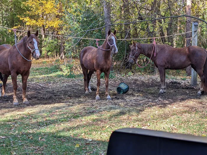 Horseriders' Campground 3