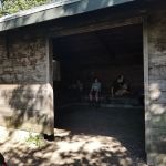 Kettle Moraine State Forest Southern Unit Shelter Two