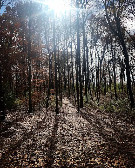 Ottawa Lake Campground 9