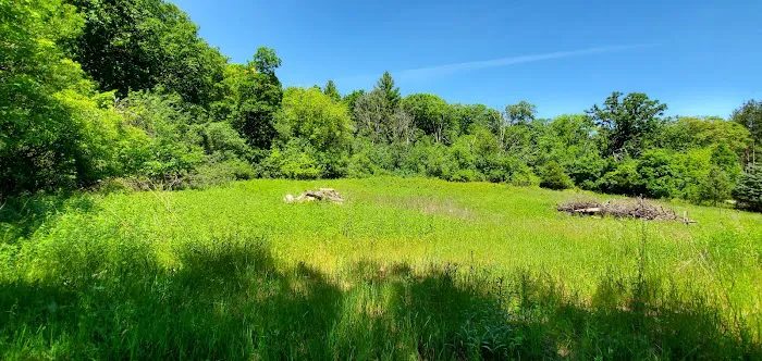 Pinewoods Campground 4