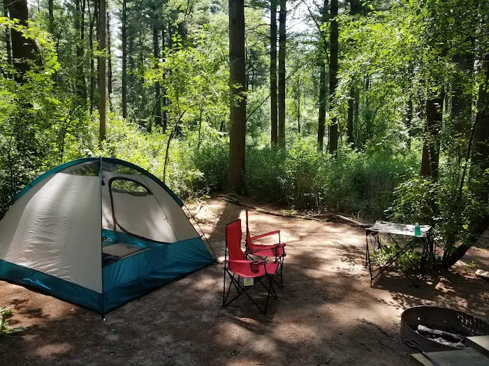 Pinewoods Campground 3
