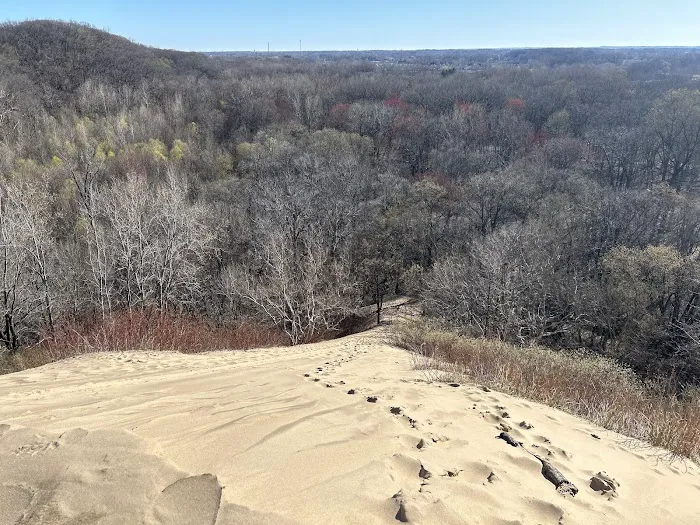 Warren Dunes Organizational Campground 4