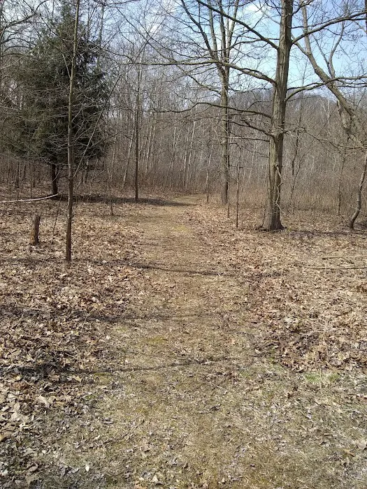 Warren Dunes Organizational Campground 8