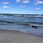 Warren Dunes Organizational Campground