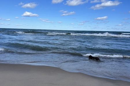 Warren Dunes Organizational Campground