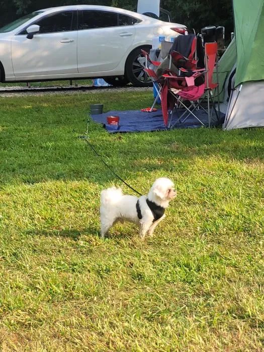 Potato Creek State Park Campground 5