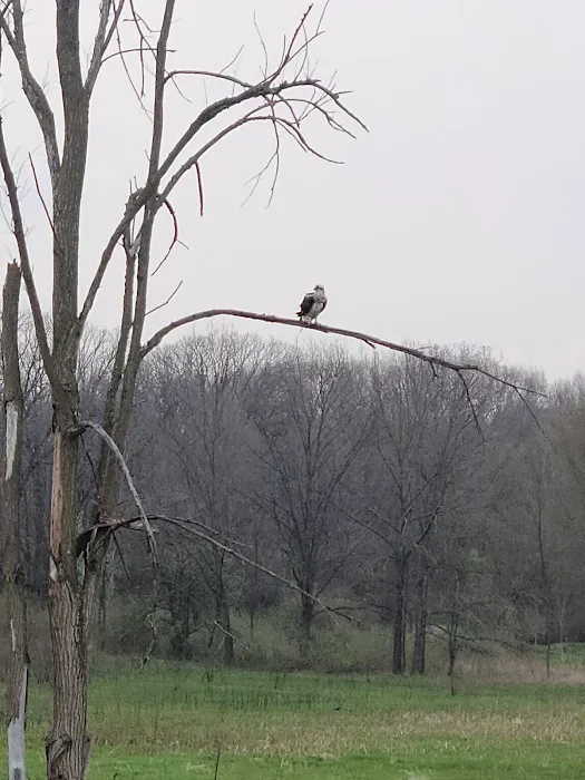 Potato Creek State Park Campground 10