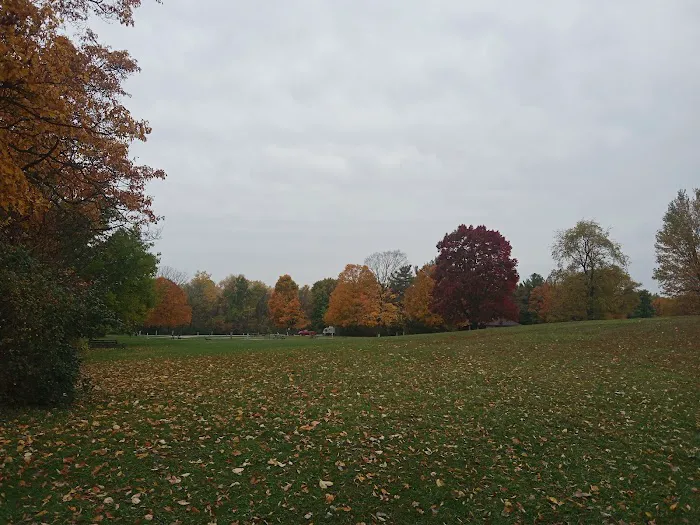 Potato Creek Campground 1
