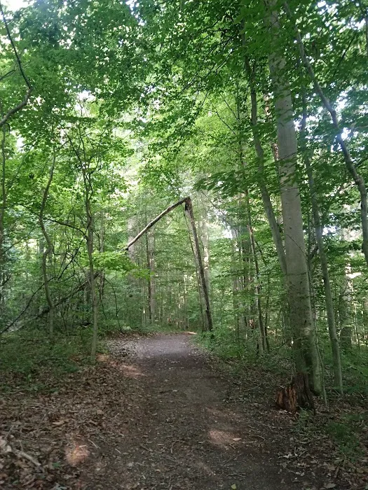 Potato Creek Campground 8