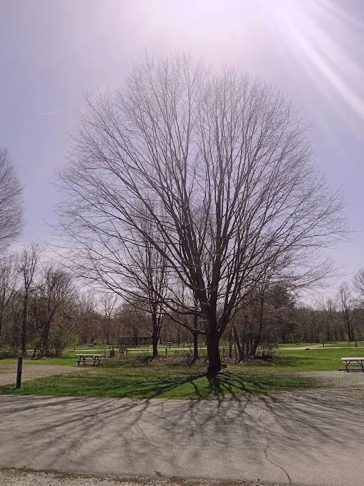 Potato Creek Campground 3