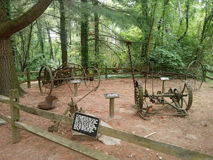Potato Creek Campground 10