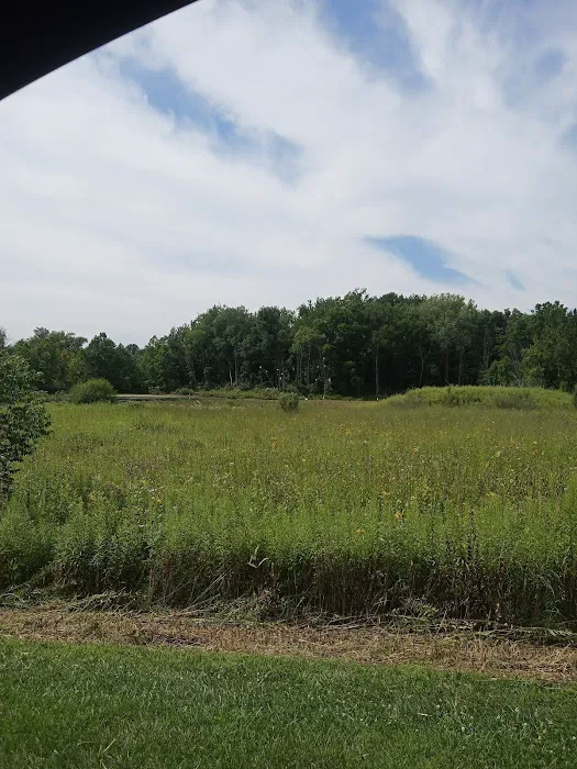 Potato Creek Campground 2