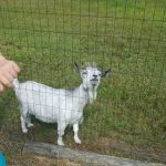 Hickory Hills Campground