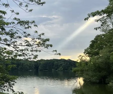 Gander Bay Campground