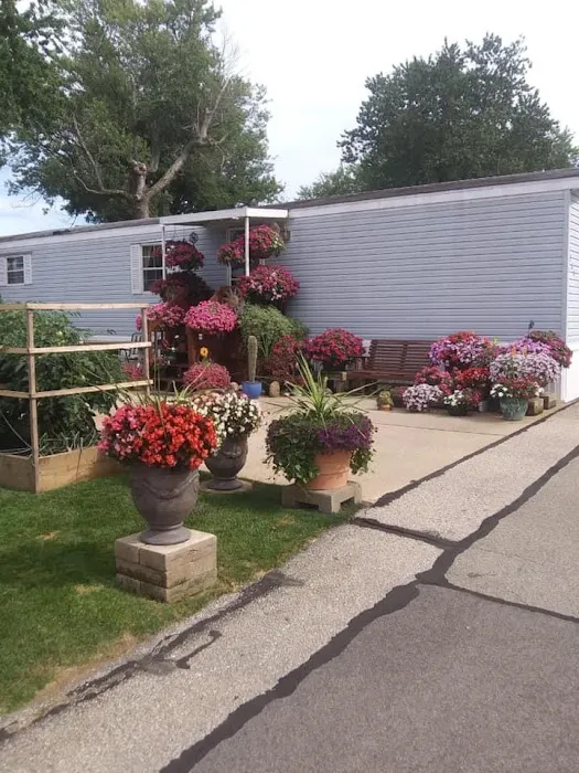Hilltop Mobile Homes 10
