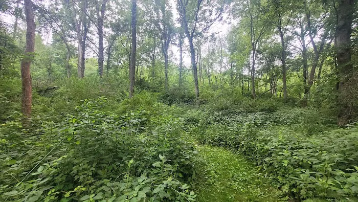 Morrison-Rockwood State Park Campground 3