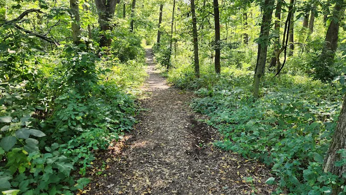 Morrison-Rockwood State Park Campground 7