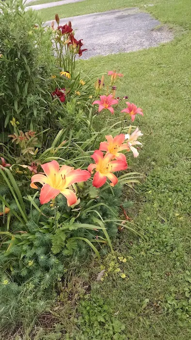 Evansville Mobile Home Park 7
