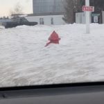 Evansville Mobile Home Park