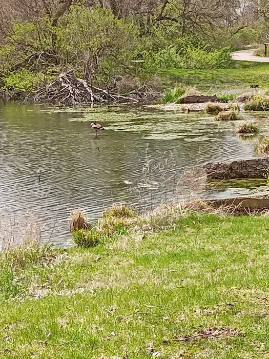 Hennepin Canal Parkway Lock 21 Campground 3