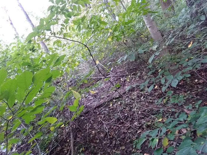 Redbud Trail Retreat 4