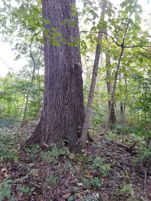 Redbud Trail Retreat 3