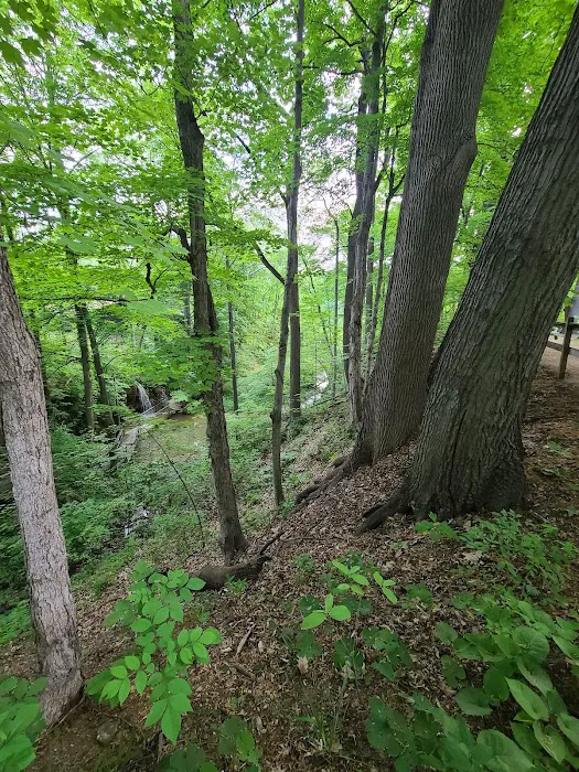 Thousand Trails Bear Cave 6