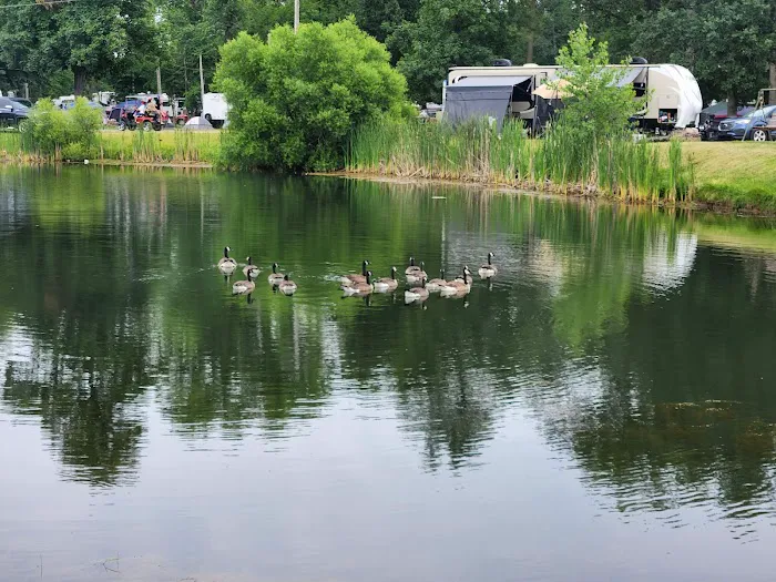 Pla-Mor Campground 6