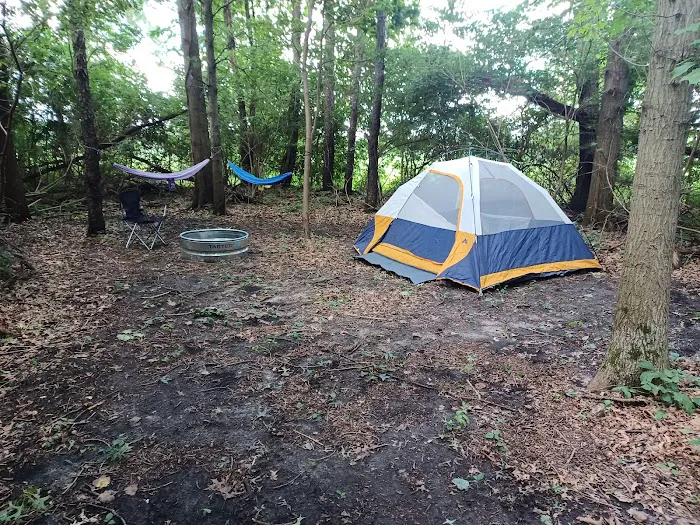 Mongos Meadow 4