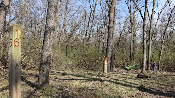 Salt Creek Area 21 Campsite 9