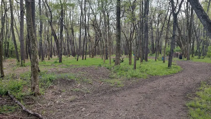 Salt Creek Area 21 Campsite 4