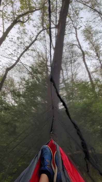 Salt Creek Area 21 Campsite 5