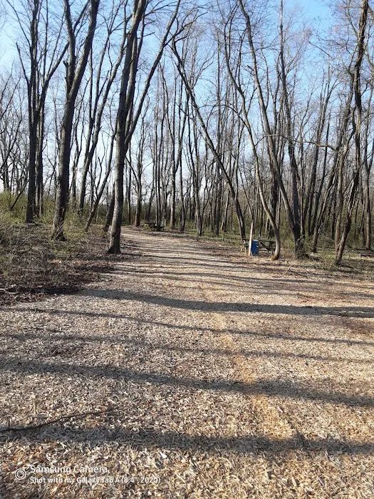 Salt Creek Area 21 Campsite 7