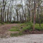 Salt Creek Area 21 Campsite