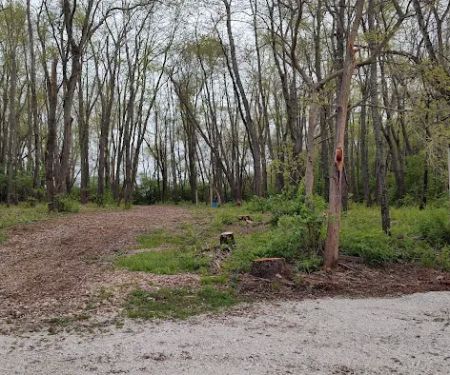 Salt Creek Area 21 Campsite