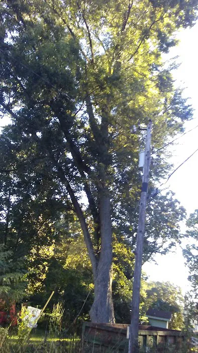 Tall Oaks Family Campground 7